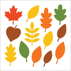 Fototapeta premium Collection of various autumn leaves in different colors and shapes