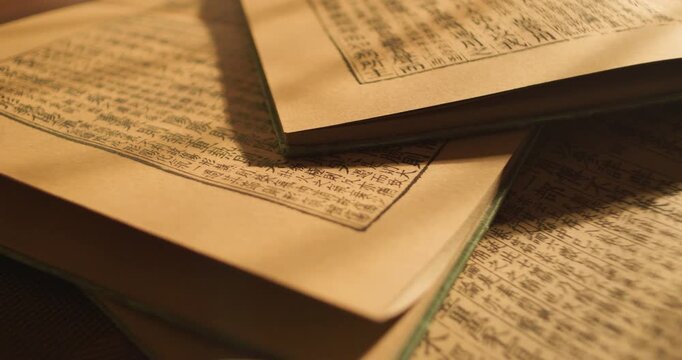 
Traditional Chinese medicine herbs: burdock root, gastrodia elata, angelica sinensis