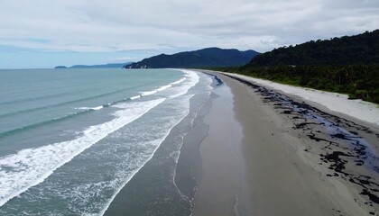 Pristine beach coastline viewed from above