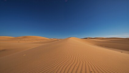 Expansive desert landscape with smooth sand dunes