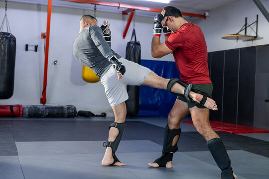 Diverse male sparring partners executing roundhouse kick, block with gloves at martial arts gym