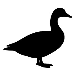 Swan element silhouette