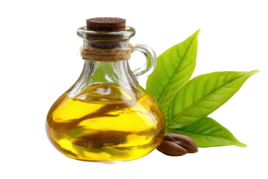 Jojoba Seed Oil Bottle with Leaves on Transparent Background