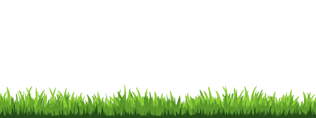 Lush green grass border against a black background
