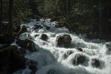 Fototapeta premium Sunlit rapids rush through a dark, mossy forest