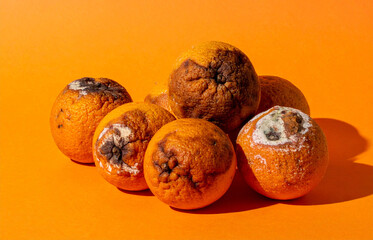 A small group of spoiled oranges on an orange-colored background and floor.