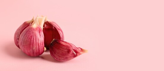 Fresh garlic on pink background with space for text