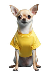 Fototapeta premium PNG Chihuahua dog t-shirt mammal.