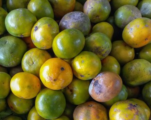 Green Citrus Oranges Texture – Fresh Tropical Fruit for Diet and Vitamin C Source