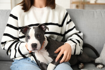 Beautiful young woman with cute staffordshire terrier puppy sitting on sofa at home