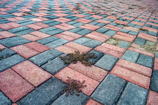 Overhead view of a brick paved surface with a repeating pattern of red and gray bricks. Some weeds are growing between the bricks, adding a touch of nature to the urban setting.