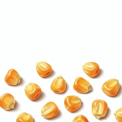 Isolated corn kernels on white background for agriculture and food industry stock image