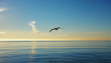 Seagull Soaring Over Calm Ocean at Sunset
