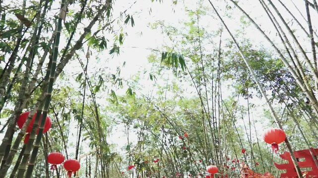 Bamboo Forest ad lantern in Putuo Village,
Malaysia.