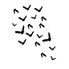 group of flying bats