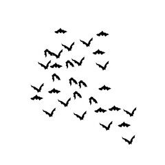 group of flying bats