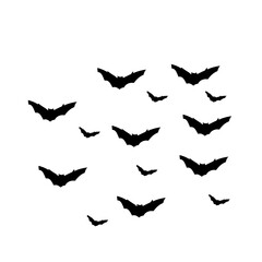 group of flying bats