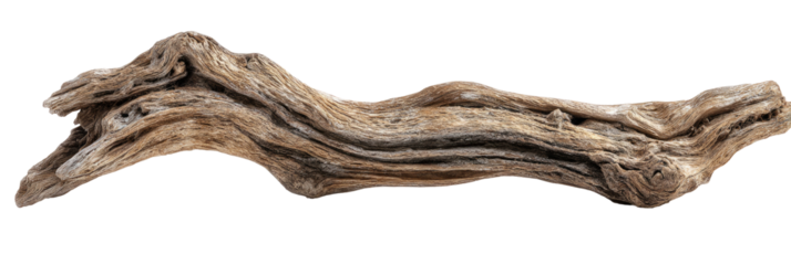 A long, sculpted piece of driftwood.  Natural curves and textures.  Light tan and brown tones