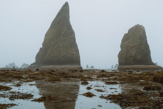 Misty coastal scene with two prominent rock formations, seaweed-covered tidal pools reflecting in calm water - Powered by Adobe