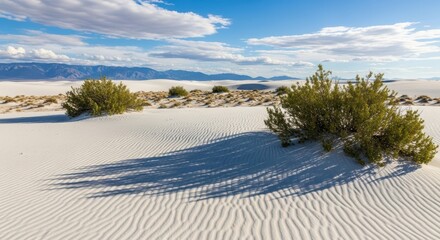Vast white sand dunes with rippled texture and sparse green bushes casting long shadows under a blue sky with clouds
