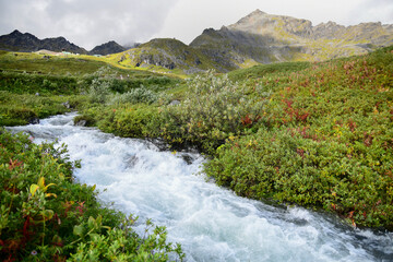 Mountain stream in the Talkeetna Mountains, Alaska.