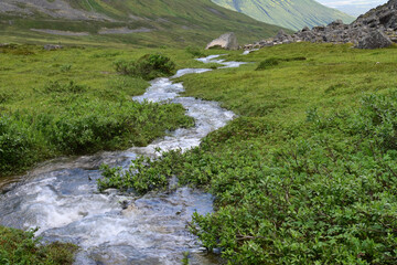 Mountain stream in the Talkeetna Mountains, Alaska.
