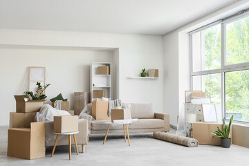 Grey sofas with cardboard boxes in living room on moving day