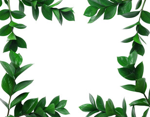 Naklejka premium Green Leaves Frame on White Background Natural Border Design.