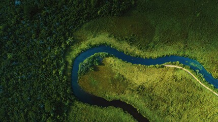 Fototapeta premium A winding river flows through a vibrant green landscape, creating a picturesque aerial view