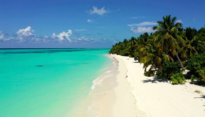 Fototapeta premium Idyllic tropical beach with white sand, turquoise water, and palm trees