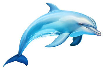 Fototapeta premium PNG Dolphin animal mammal fish.