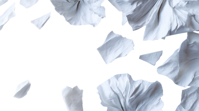 Abstract composition of crumpled white paper fragments with textured surface, cut out transparent