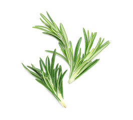 Composition with fresh rosemary twigs isolated on white background, closeup