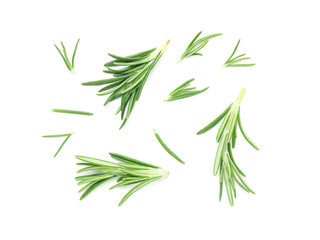 Obraz premium Leaves of fresh rosemary isolated on white background, closeup