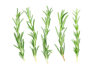 Composition with fresh rosemary isolated on white background, closeup