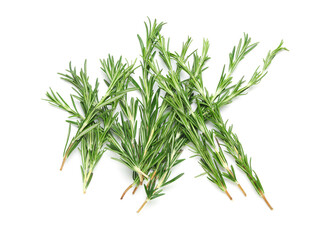 Composition with fresh rosemary twigs isolated on white background, closeup