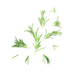Leaves of fresh green rosemary isolated on white background, closeup
