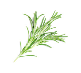 Fototapeta premium Fresh green rosemary isolated on white background, closeup