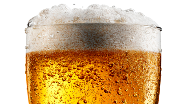 Close-up of amber lager beer with frothy head and rising bubbles, cut out transparent