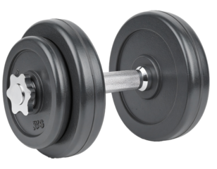 Black Dumbbell with Metal Handle Isolated on Transparent Background