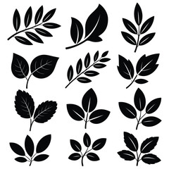 Black Leaf Sprout Vector Set,  Eco Plant Silhouettes, Vegan Organic Herb Pictogram Icons, Fresh Natural Healthy Logo Design Elements, EPS 10