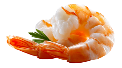 Cooked shrimp with fresh parsley garnish against a white background, cut out transparent
