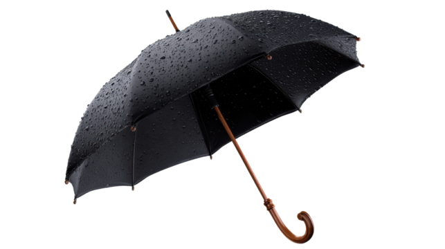 Black umbrella covered in water droplets against a white background, cut out transparent