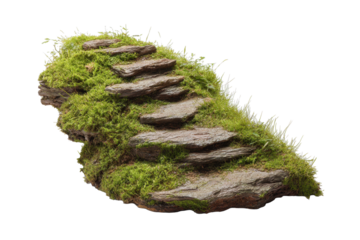 Mossy Stone Steps on Isolated Trail Section