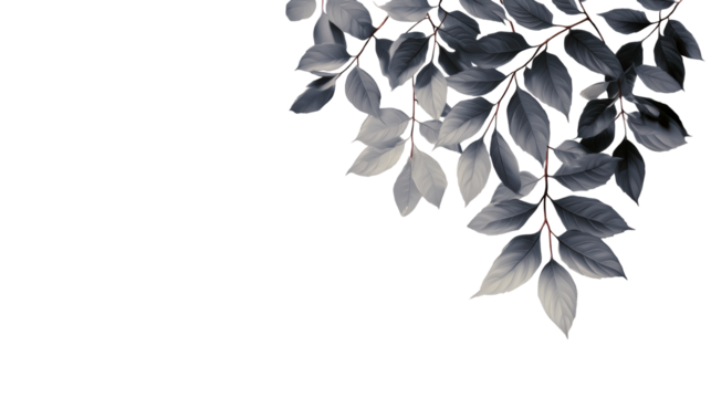 Subtle Dark Blue Leaves with Soft Shadows on Textured White Surface, cut out transparent