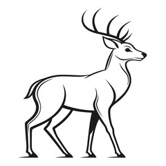 Fototapeta premium Black and white graphic illustration of a stag with large antlers deer male deer