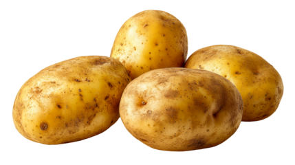 Freshly Harvested Russet Potatoes Grouped on White Surface, cut out transparent