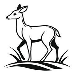 Obraz premium Black and white illustration of a young deer standing in grass fawn female deer