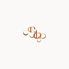 caligraphic style monogram luxury minimalist logo design BN wedding initial concept letter