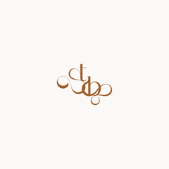 caligraphic style monogram luxury minimalist logo design BT wedding initial concept letter